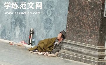 流浪猫和流浪狗的读后感推荐7篇