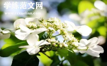 大学第三学年自我鉴定8篇
