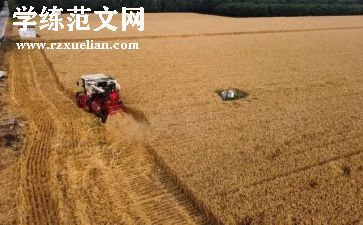 英语节约粮食的作文6篇
