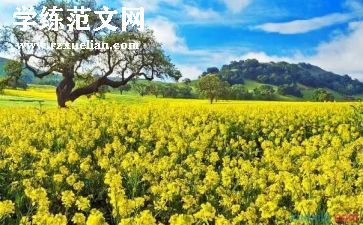 创青春演讲稿参考6篇