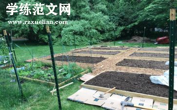 菜园教学反思优秀8篇