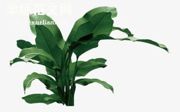 植树节志愿活动总结7篇