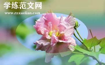 放烟花作文推荐8篇