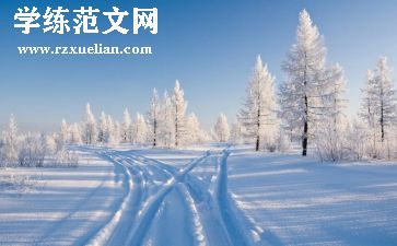 雪高中作文参考8篇