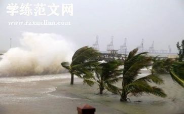 防台风主题班会教案8篇