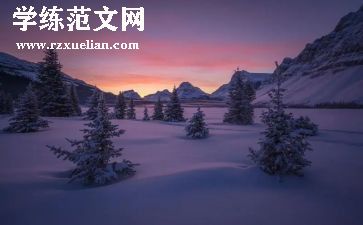 冬天的树教案7篇
