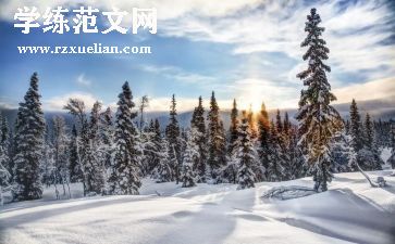 冬天的树教案优质5篇