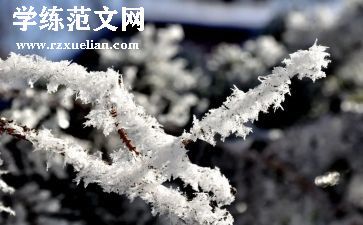 雪高中作文通用7篇