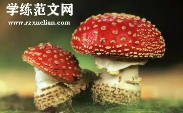 局禁毒工作总结7篇