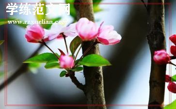 幼儿园春天的画教案精选7篇