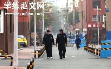 保安工作个人总结优秀8篇