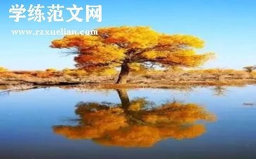 大自然里的风教案5篇