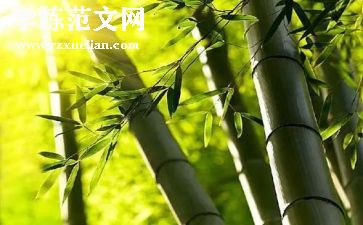 盼春节500字优秀作文8篇