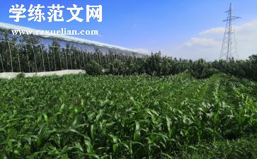 电子房屋租赁合同优秀6篇
