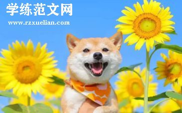 快乐暑假作文300字优秀8篇