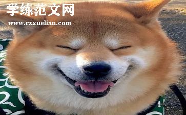 音乐找朋友教案中班教案8篇