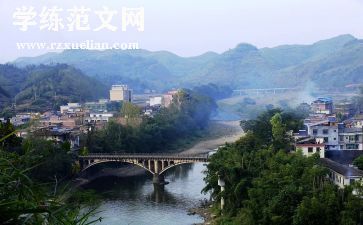镇人才工作调研报告5篇