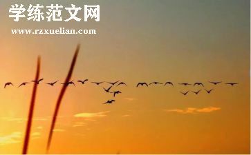 付出的作文800字7篇