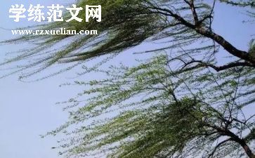 风的力量作文600字参考7篇