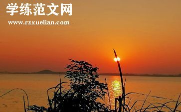 早教月工作总结优秀8篇