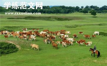畜牧工作上半年总结6篇