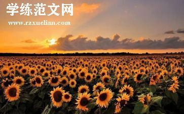 美少年心得体会精选5篇