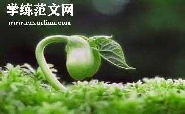 种子公司年度总结6篇