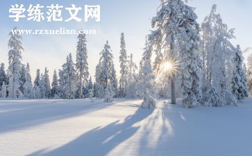 迎2024冬奥会作文精选5篇