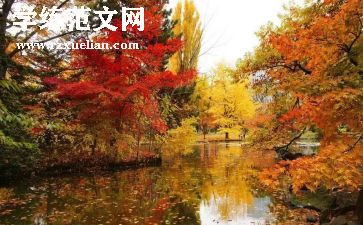 中秋节幼儿园活动总结优质8篇
