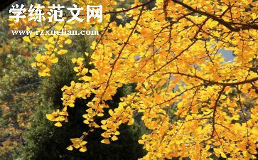 中秋节幼儿园活动总结精选5篇