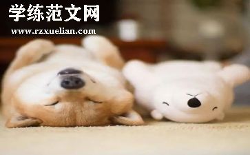 睡眠教案优秀6篇