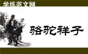 游骆驼湾作文最新7篇