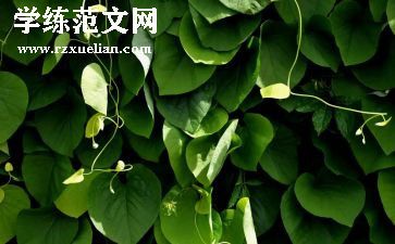 关于植物的400字作文5篇