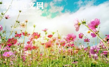 3月主题活动方案7篇