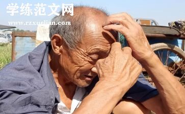 老人与狼作文400字8篇