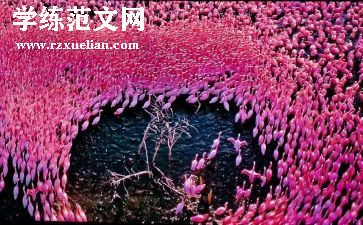 二年级美德少年事迹材料7篇