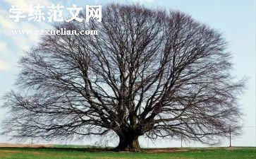 2024年植树节讲话稿范文6篇