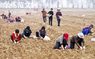 租赁经营合同优质8篇