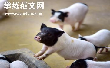 猪场租凭合同8篇