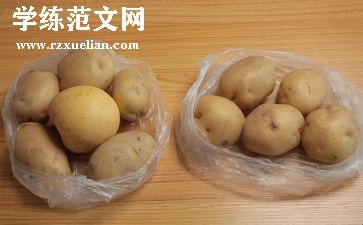 炒土豆丝的作文300字8篇