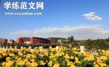 在学校的个人总结500字6篇
