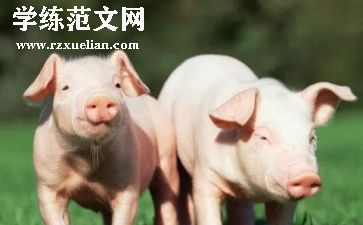 小班游戏赶小猪教案8篇
