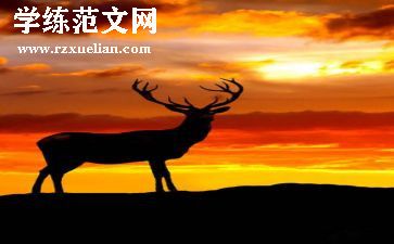 白鹿原心得800字7篇