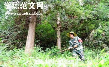 2024年护林员年度总结5篇