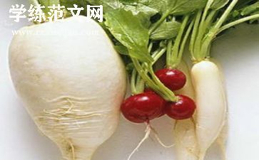 拔萝卜的教案参考8篇