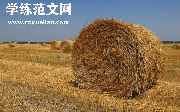 关于秸秆禁烧的倡议书5篇