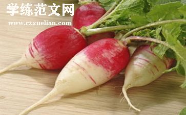 拔萝卜的教案6篇