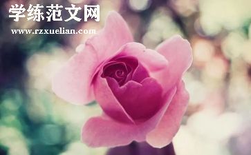 运动与美作文模板5篇