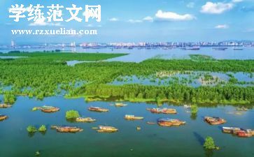 双11房地产活动方案推荐8篇