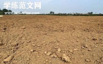 双11房地产活动方案6篇